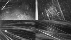 Sdružený snímek Bludný