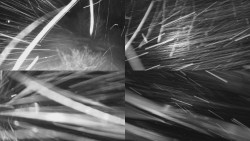 Sdružený snímek Bludný