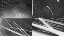 Sdružený snímek Bludný