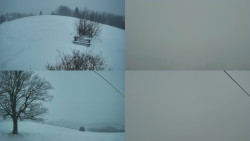 Sdružený snímek Bludný