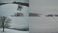 Sdružený snímek Bludný