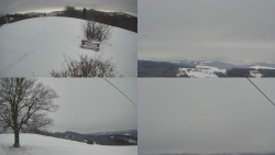 Sdružený snímek Bludný