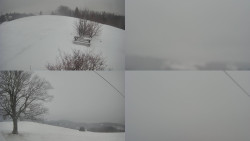 Sdružený snímek Bludný