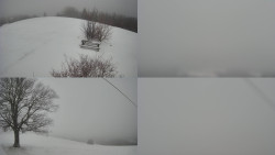 Sdružený snímek Bludný