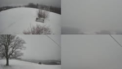 Sdružený snímek Bludný