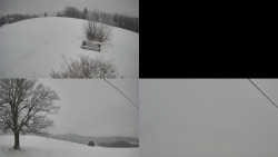 Sdružený snímek Bludný