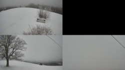 Sdružený snímek Bludný