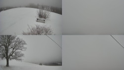 Sdružený snímek Bludný