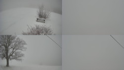 Sdružený snímek Bludný