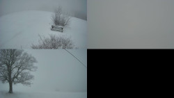 Sdružený snímek Bludný