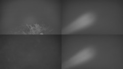 Sdružený snímek Bludný