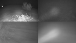 Sdružený snímek Bludný