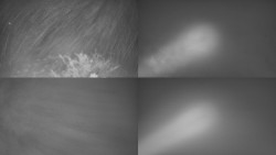 Sdružený snímek Bludný