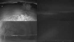 Sdružený snímek Bludný