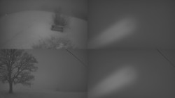 Sdružený snímek Bludný