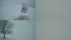 Sdružený snímek Bludný