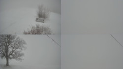 Sdružený snímek Bludný