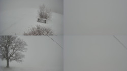 Sdružený snímek Bludný