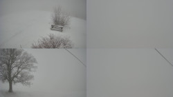 Sdružený snímek Bludný