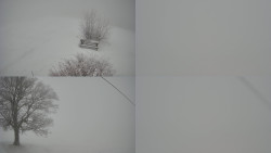 Sdružený snímek Bludný