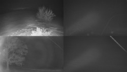 Sdružený snímek Bludný