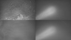 Sdružený snímek Bludný