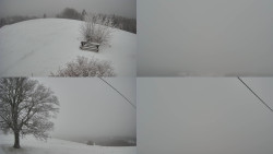 Sdružený snímek Bludný