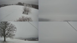 Sdružený snímek Bludný