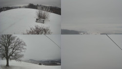 Sdružený snímek Bludný