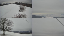 Sdružený snímek Bludný