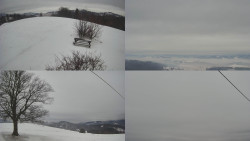 Sdružený snímek Bludný