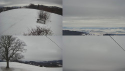 Sdružený snímek Bludný