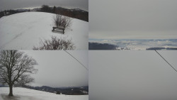 Sdružený snímek Bludný