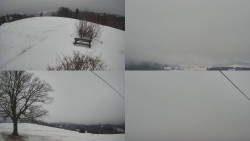 Sdružený snímek Bludný