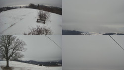 Sdružený snímek Bludný