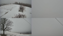 Sdružený snímek Bludný