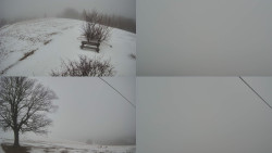 Sdružený snímek Bludný