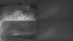 Sdružený snímek Bludný