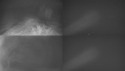 Sdružený snímek Bludný