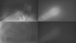 Sdružený snímek Bludný