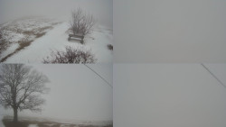 Sdružený snímek Bludný