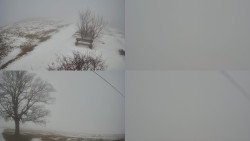 Sdružený snímek Bludný