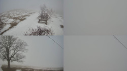 Sdružený snímek Bludný