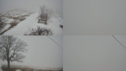 Sdružený snímek Bludný