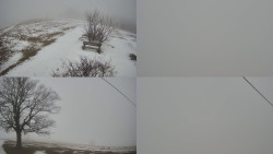 Sdružený snímek Bludný