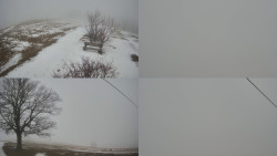 Sdružený snímek Bludný