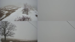 Sdružený snímek Bludný