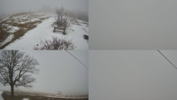 Sdružený snímek Bludný