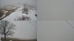 Sdružený snímek Bludný