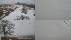 Sdružený snímek Bludný